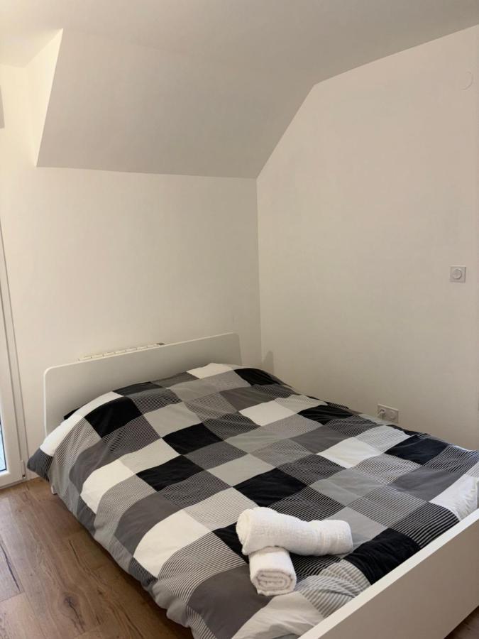 Duplex Neuf Parking Terrasse Apartment Мюлуз Екстериор снимка