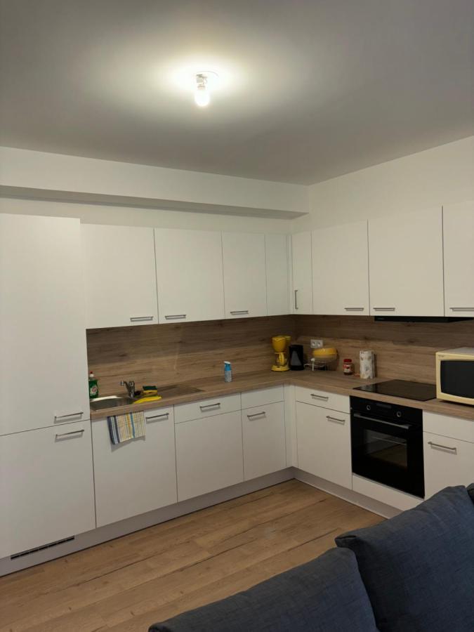 Duplex Neuf Parking Terrasse Apartment Мюлуз Екстериор снимка